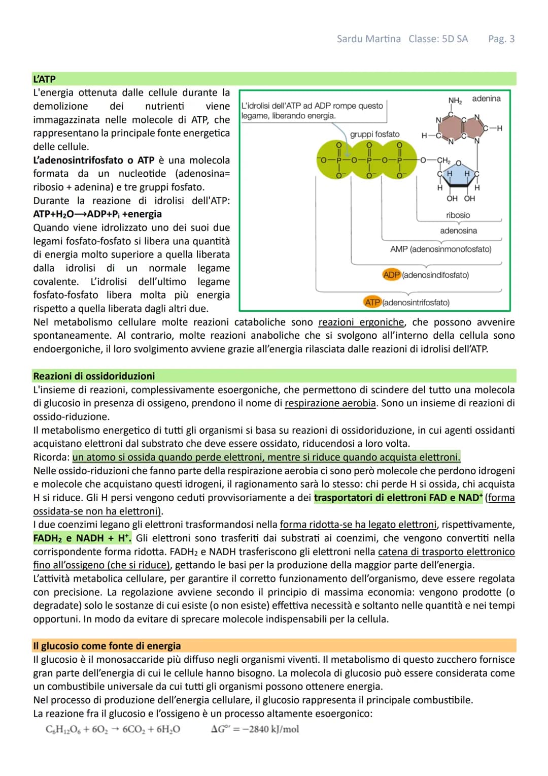 Sardu Martina Classe: 5D SA Pag. 1
# IL METABOLISMO
Gli organismi viventi sono costituiti da cellule in queste strutture avvengono continu