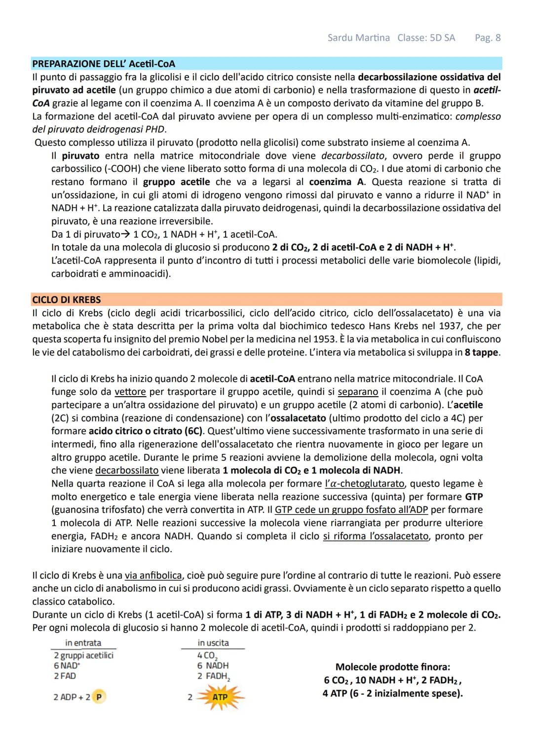 Sardu Martina Classe: 5D SA Pag. 1
# IL METABOLISMO
Gli organismi viventi sono costituiti da cellule in queste strutture avvengono continu