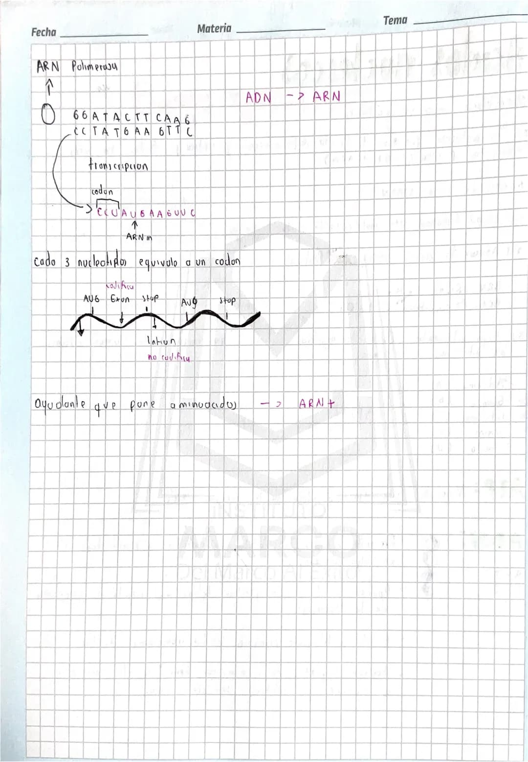Fecha
Materia
Tema
# Ácidos nucleicos
Monompro -> nucleótidos
es la molecula que leva toolu lu información gönetics y todo, lo solo,
Vivos