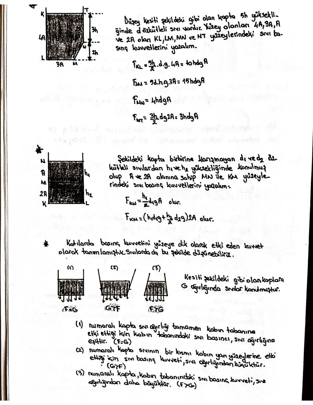 UNITE-2: BASING
Katılarda Basing
Kar yağışının yoğun olduğu
bölgelerde yurürken kara batmamak
için ayaklara kar paleti takılır.
Burada ama