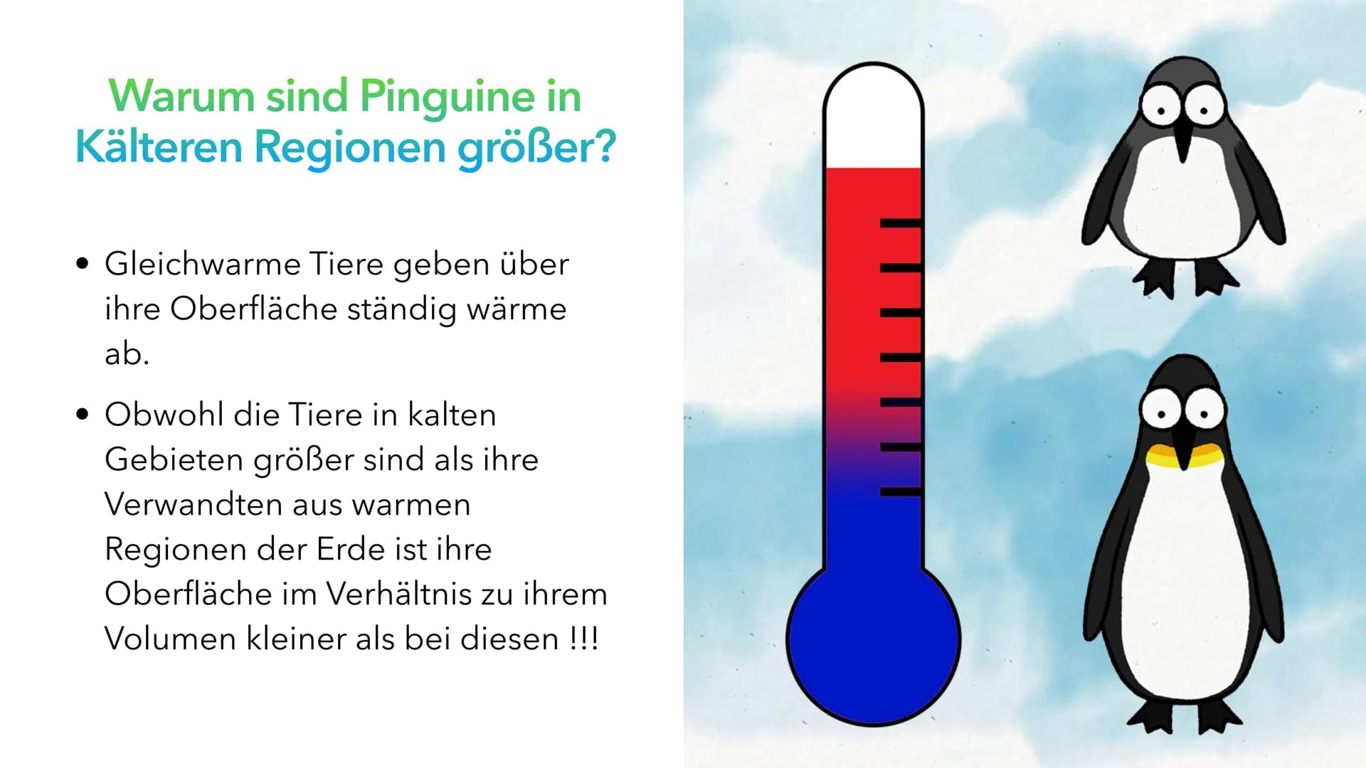 Klimaregeln # Agenda
* Begriff „Klimaregel"
* Bergmannsche Regel
* Warum sind Pinguine in Kälteren Regionen größer?
* Schaubild Ber
