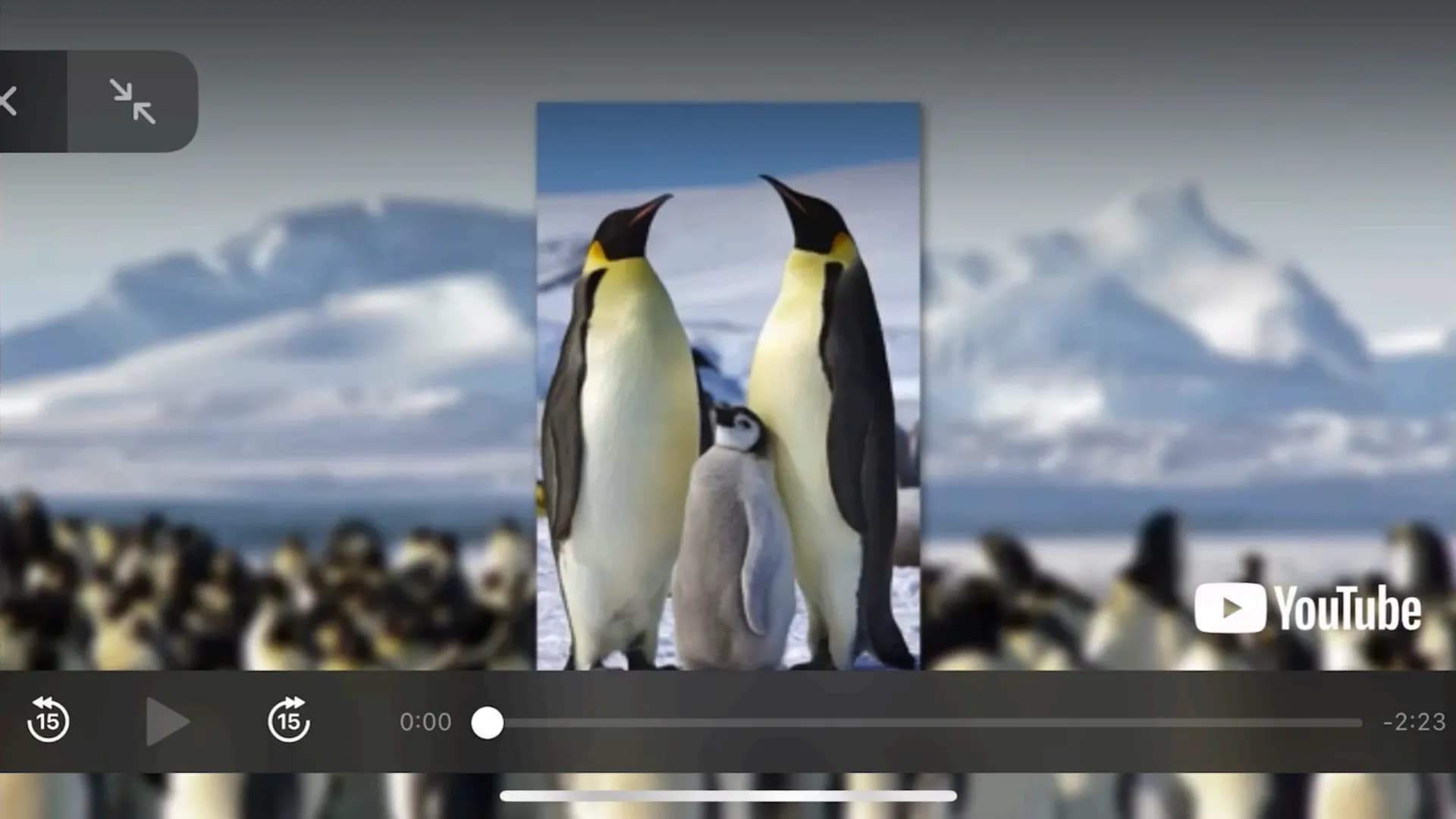 Klimaregeln # Agenda
* Begriff „Klimaregel"
* Bergmannsche Regel
* Warum sind Pinguine in Kälteren Regionen größer?
* Schaubild Ber