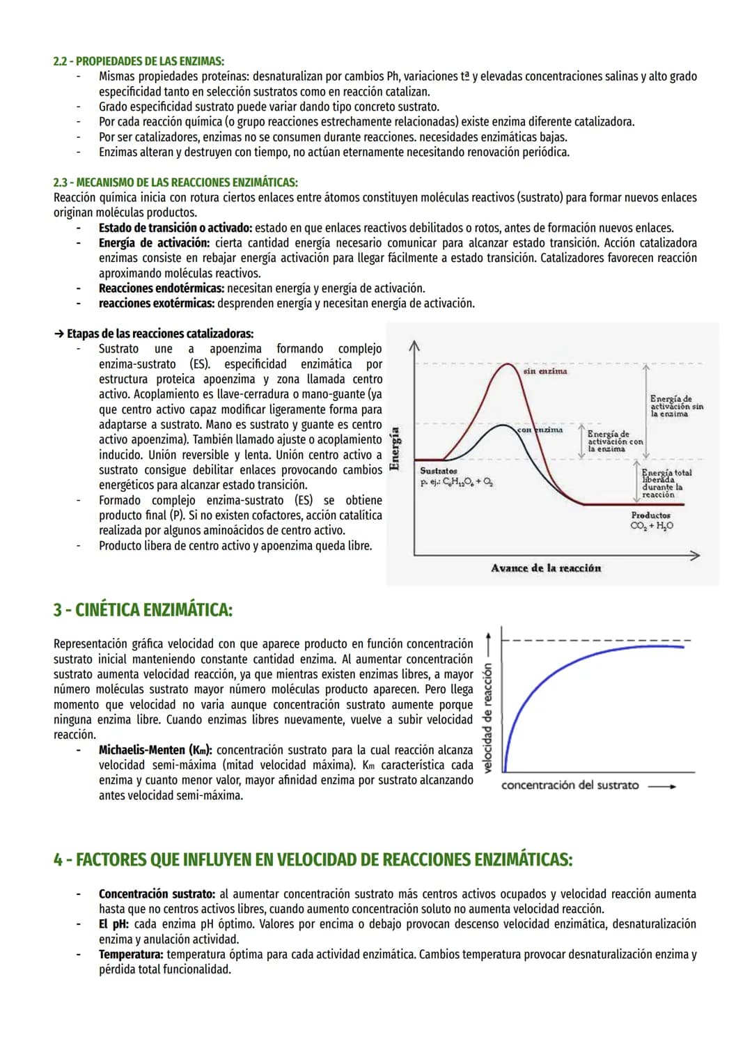 # TEMA 12-METABOLISMO Y ENZIMAS:
1- CARACTERÍSTICAS DE LAS REACCIONES METABÓLICAS:
Metabolismo es conjunto reacciones entre biomoléculas (