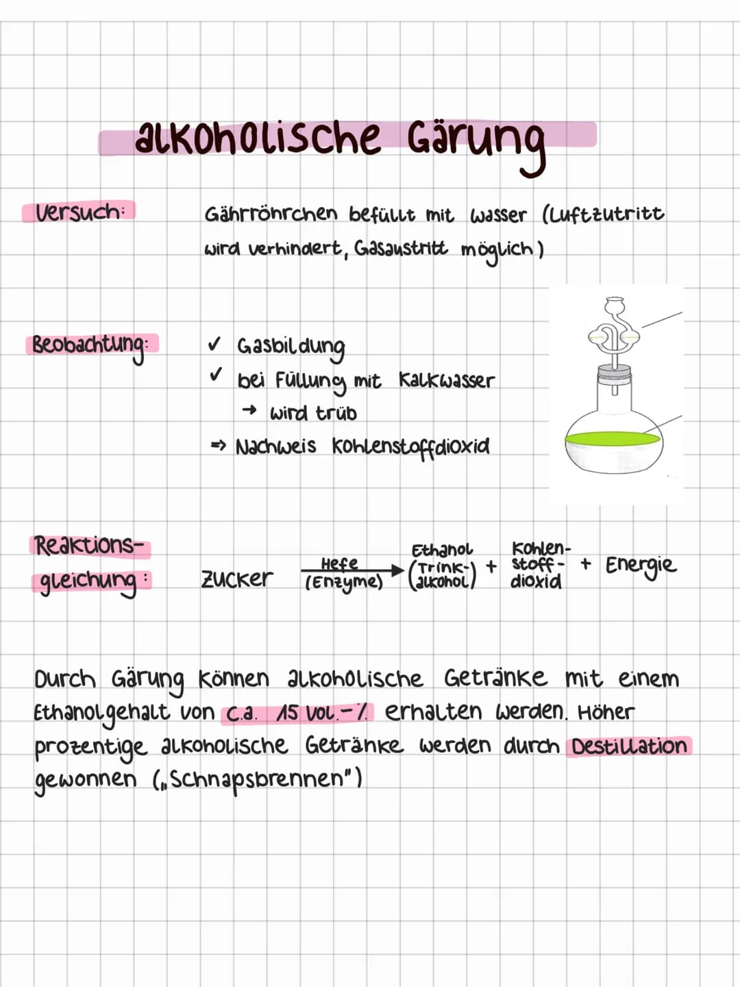 # alkoholische Gärung
Versuch:
Gährröhrchen befüllt mit wasser (Luftzutritt
wird verhindert, Gasaustritt möglich)
Beobachtung:
✓ Gasbildun