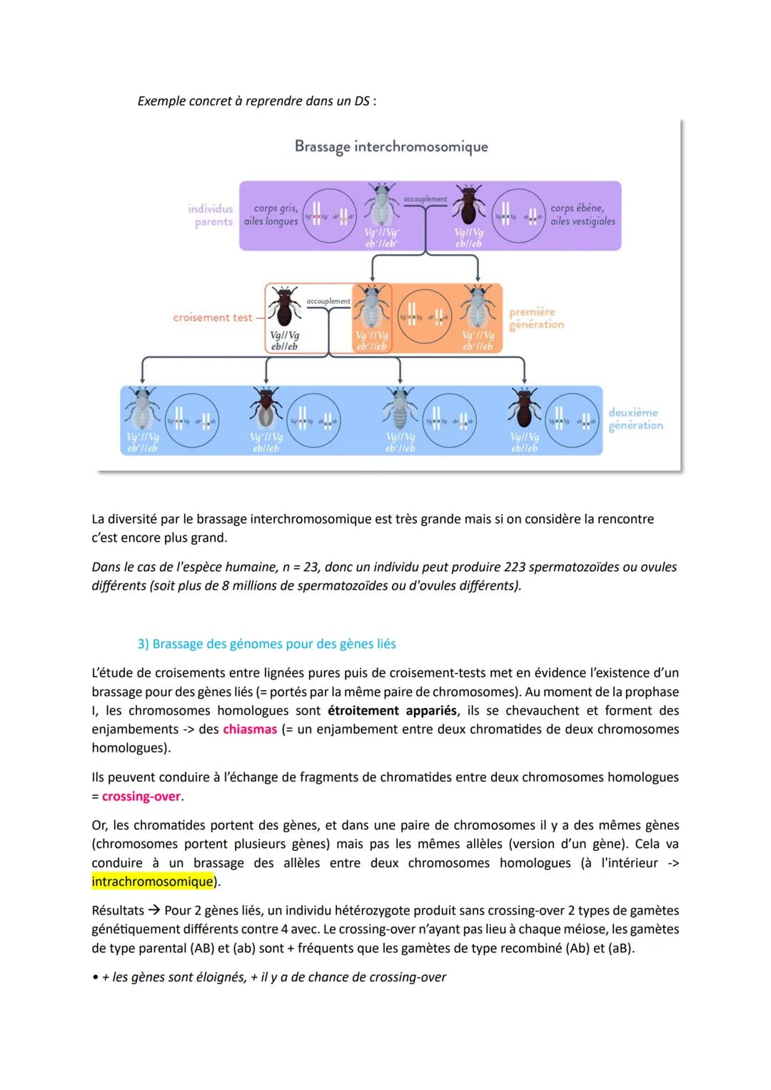 # L'origine du génotype des individus
Comment la reproduction sexuée forme-t-elle des génomes individuels et contribue-t-elle à la
diversif