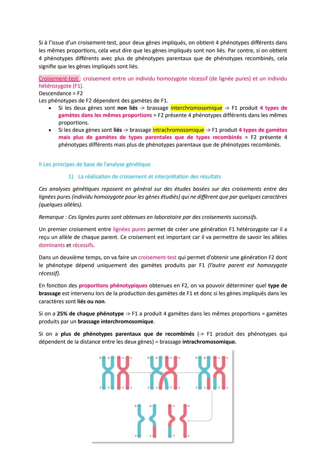 # L'origine du génotype des individus
Comment la reproduction sexuée forme-t-elle des génomes individuels et contribue-t-elle à la
diversif