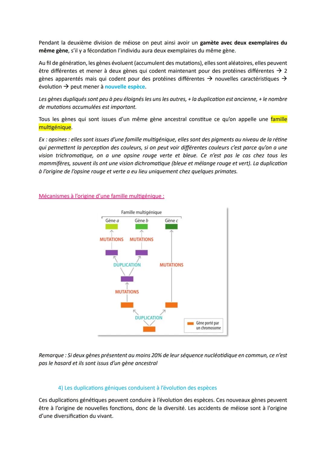 # L'origine du génotype des individus
Comment la reproduction sexuée forme-t-elle des génomes individuels et contribue-t-elle à la
diversif
