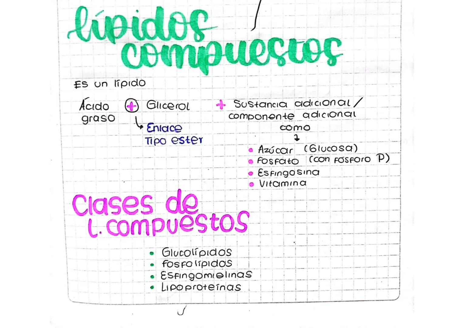 # lipidos
# compuestos
Es un lipido
Ácido Glicerol + Sustancia adicional/
graso componente adicional
Eniace como
Tipo ester 2
• Azúcar