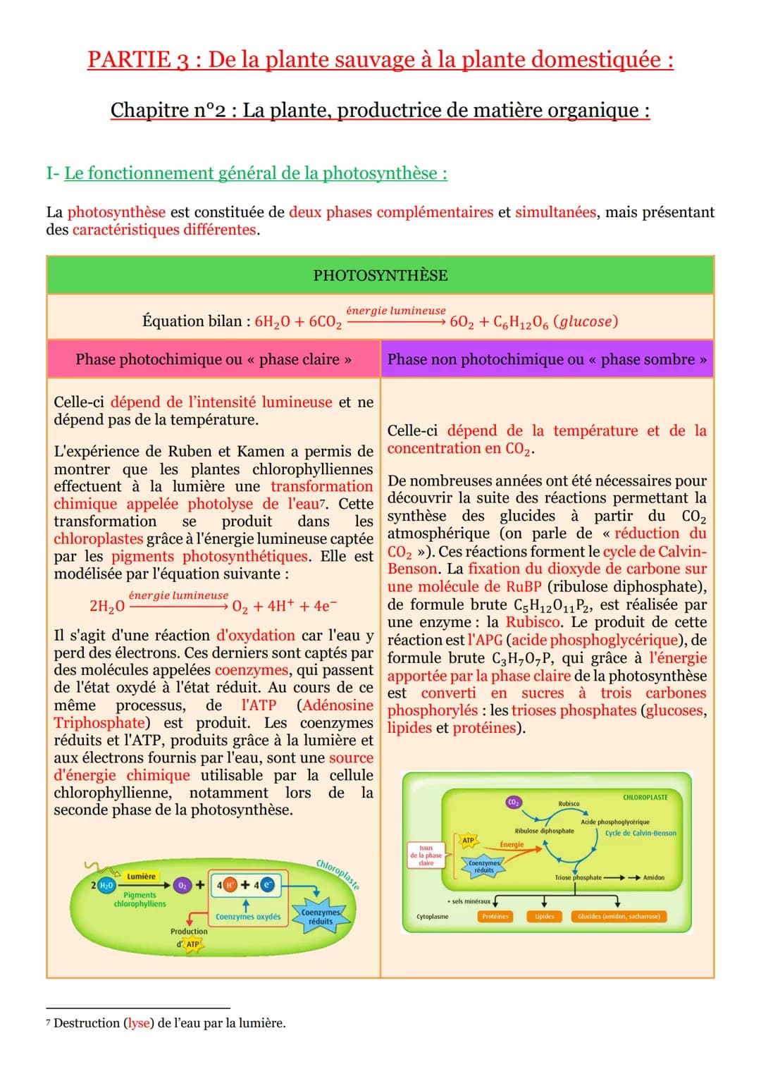 PARTIE 3 : De la plante sauvage à la plante domestiquée :
Chapitre n°1 : L'organisation fonctionnelle des plantes à fleur :
I- La vie fixé