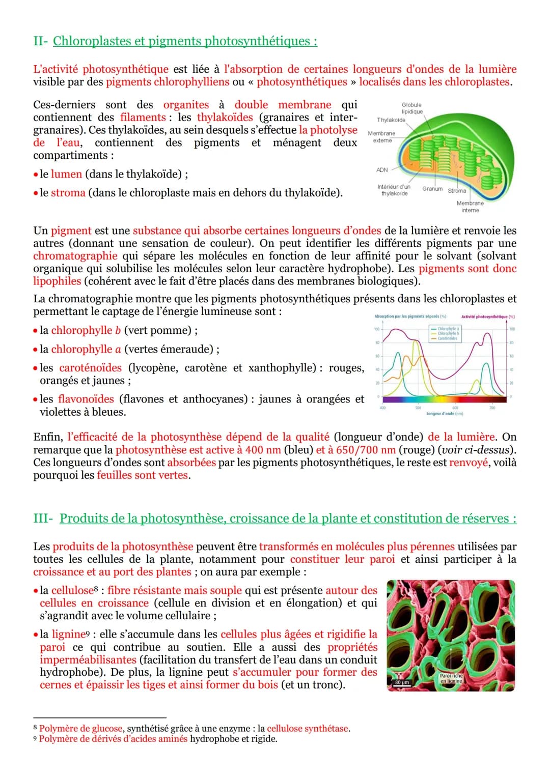 PARTIE 3 : De la plante sauvage à la plante domestiquée :
Chapitre n°1 : L'organisation fonctionnelle des plantes à fleur :
I- La vie fixé