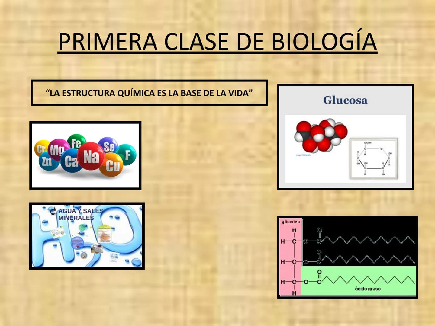 # PRIMERA CLASE DE BIOLOGÍA
"LA ESTRUCTURA QUÍMICA ES LA BASE DE LA VIDA"
CrMo
Fe
Zn Ca Na
Se
F
Cu
AGUA Y SALES
MINERALES
glicerina
H
H-