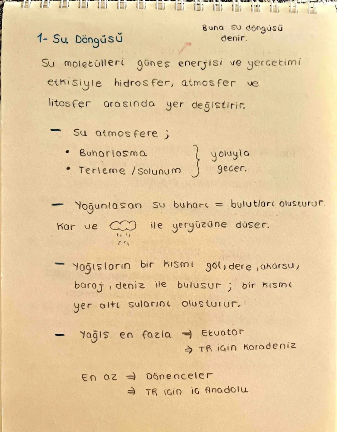 Ekosistem Nedir?
Canlılar ve canlıların içinde bulunduğu
fiziksel ceuredir.
→ Ekosistem Cesitli büyüklüklerde olabilir.
→
Büyüklükleri far