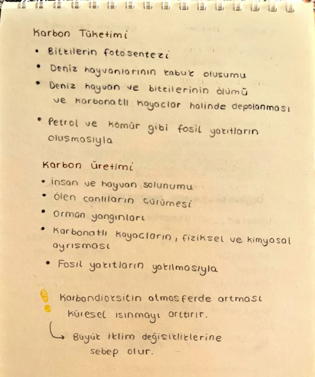 Ekosistem Nedir?
Canlılar ve canlıların içinde bulunduğu
fiziksel ceuredir.
→ Ekosistem Cesitli büyüklüklerde olabilir.
→
Büyüklükleri far