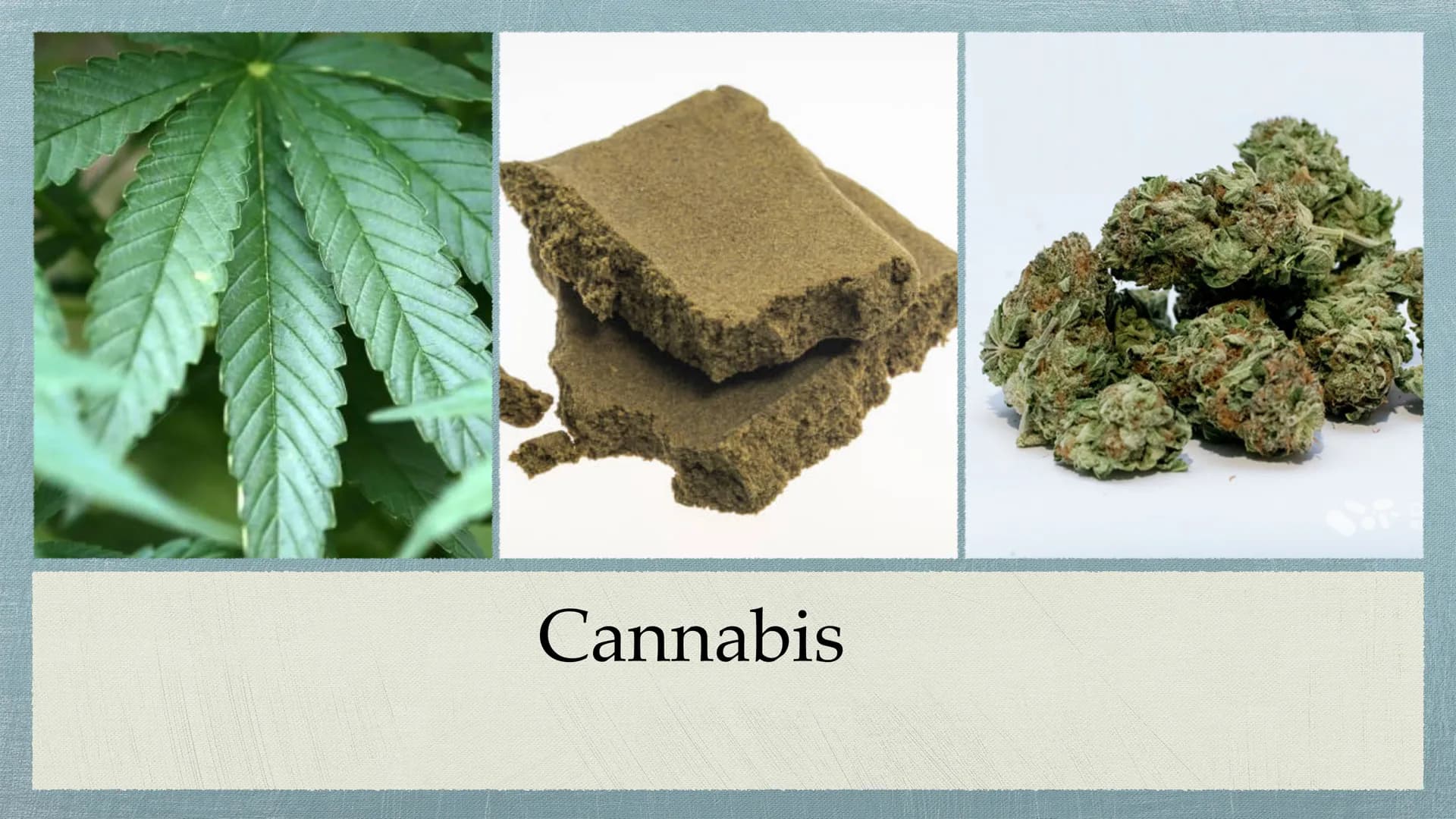 Cannabis # Gliederung
* Was sind Drogen?
* Cannabis - alles auf einem Blick
* Unterteilung Cannabis in
Haschisch/Marihuana
* Wi