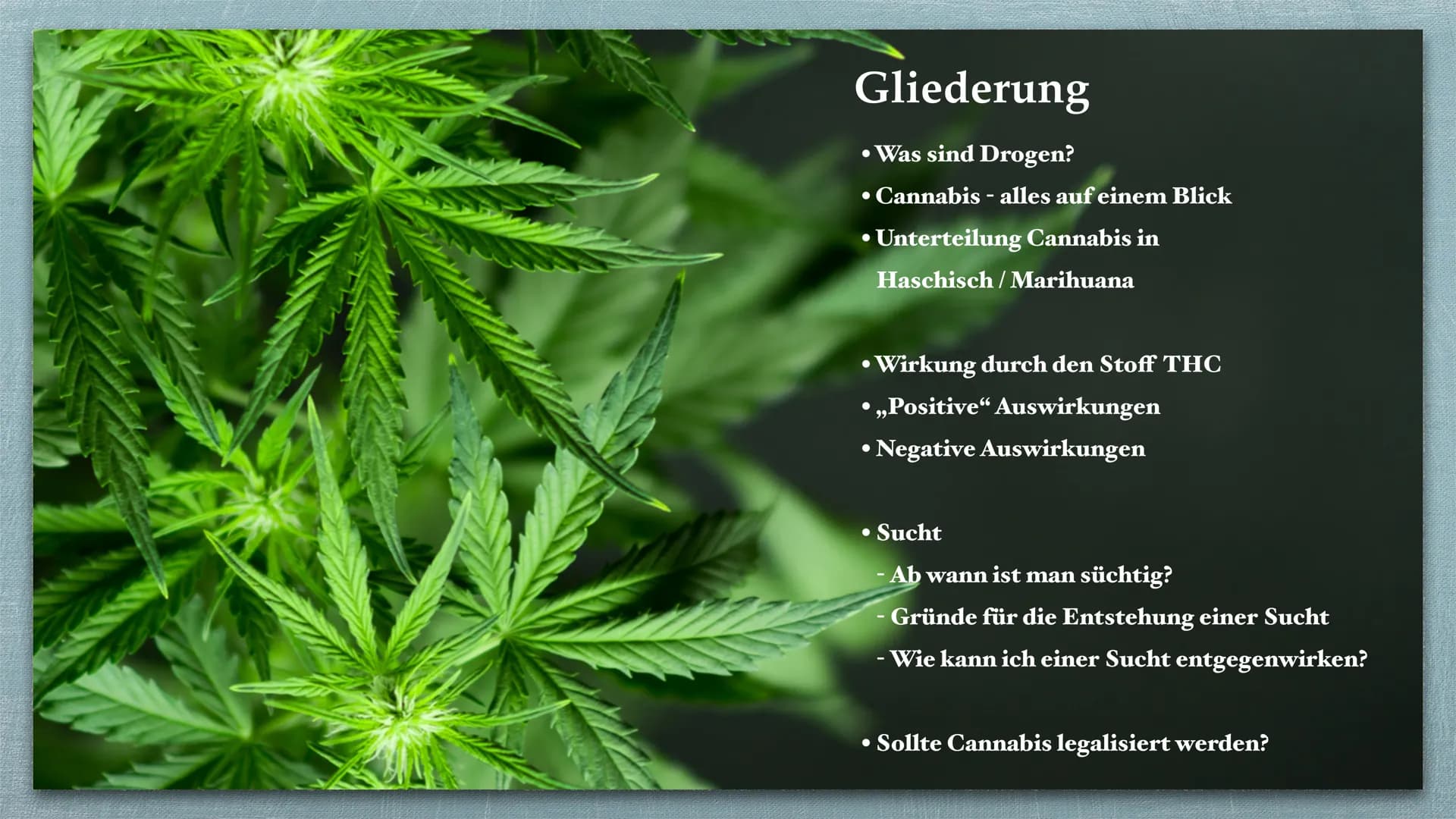 Cannabis # Gliederung
* Was sind Drogen?
* Cannabis - alles auf einem Blick
* Unterteilung Cannabis in
Haschisch/Marihuana
* Wi