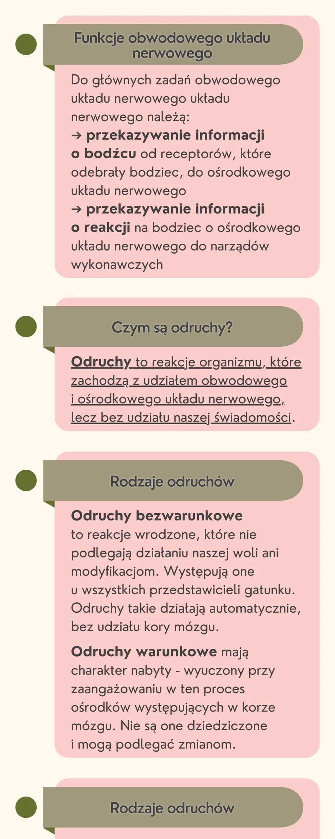 # Układ
nerwowy
Jak jest zbudowany układ nerwowy?
Układ nerwowy jest zbudowany
z dwóch części: ośrodkowego układu
nerwowego i obwodowego u