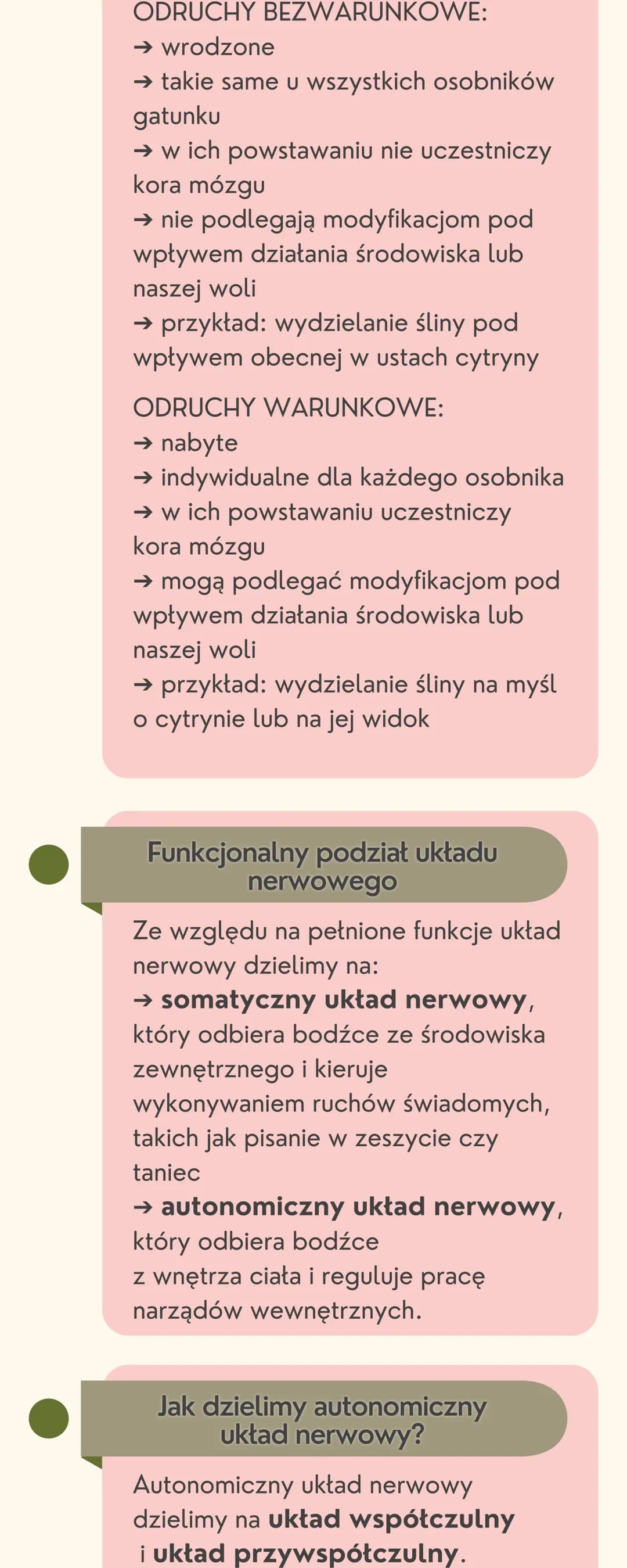 # Układ
nerwowy
Jak jest zbudowany układ nerwowy?
Układ nerwowy jest zbudowany
z dwóch części: ośrodkowego układu
nerwowego i obwodowego u