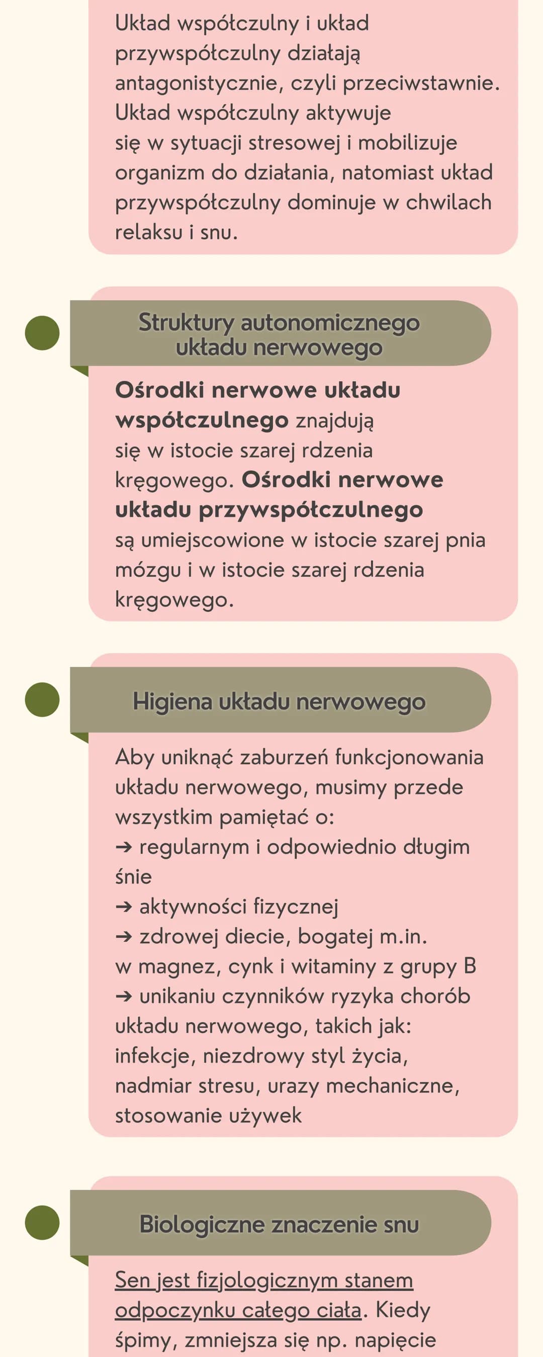 # Układ
nerwowy
Jak jest zbudowany układ nerwowy?
Układ nerwowy jest zbudowany
z dwóch części: ośrodkowego układu
nerwowego i obwodowego u