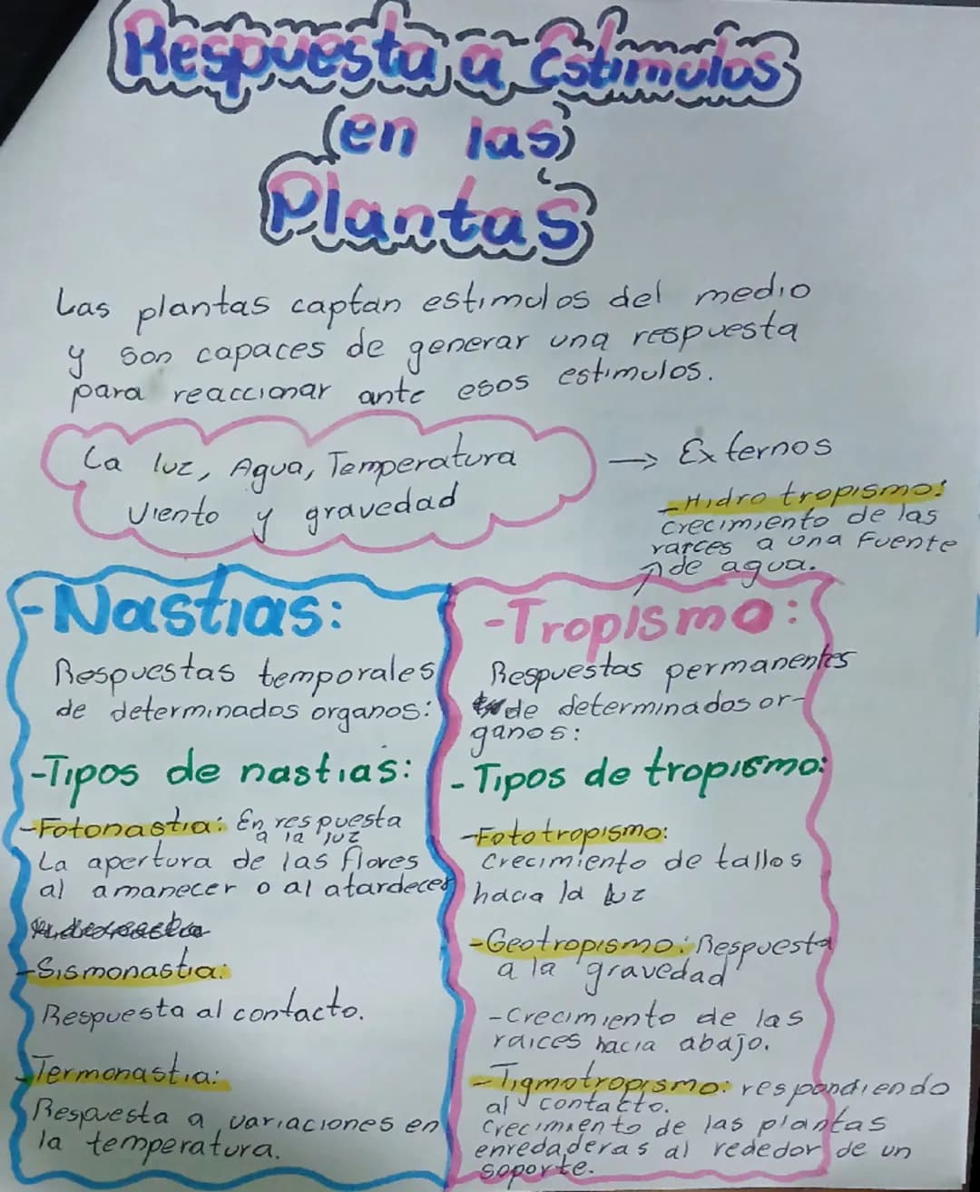 Respuesta a estímulos
En
Unicelulares
Respuestas en las bacterias:
* La respuesta dinámica: (Movimientos táctiles)
Implica movimiento por pa