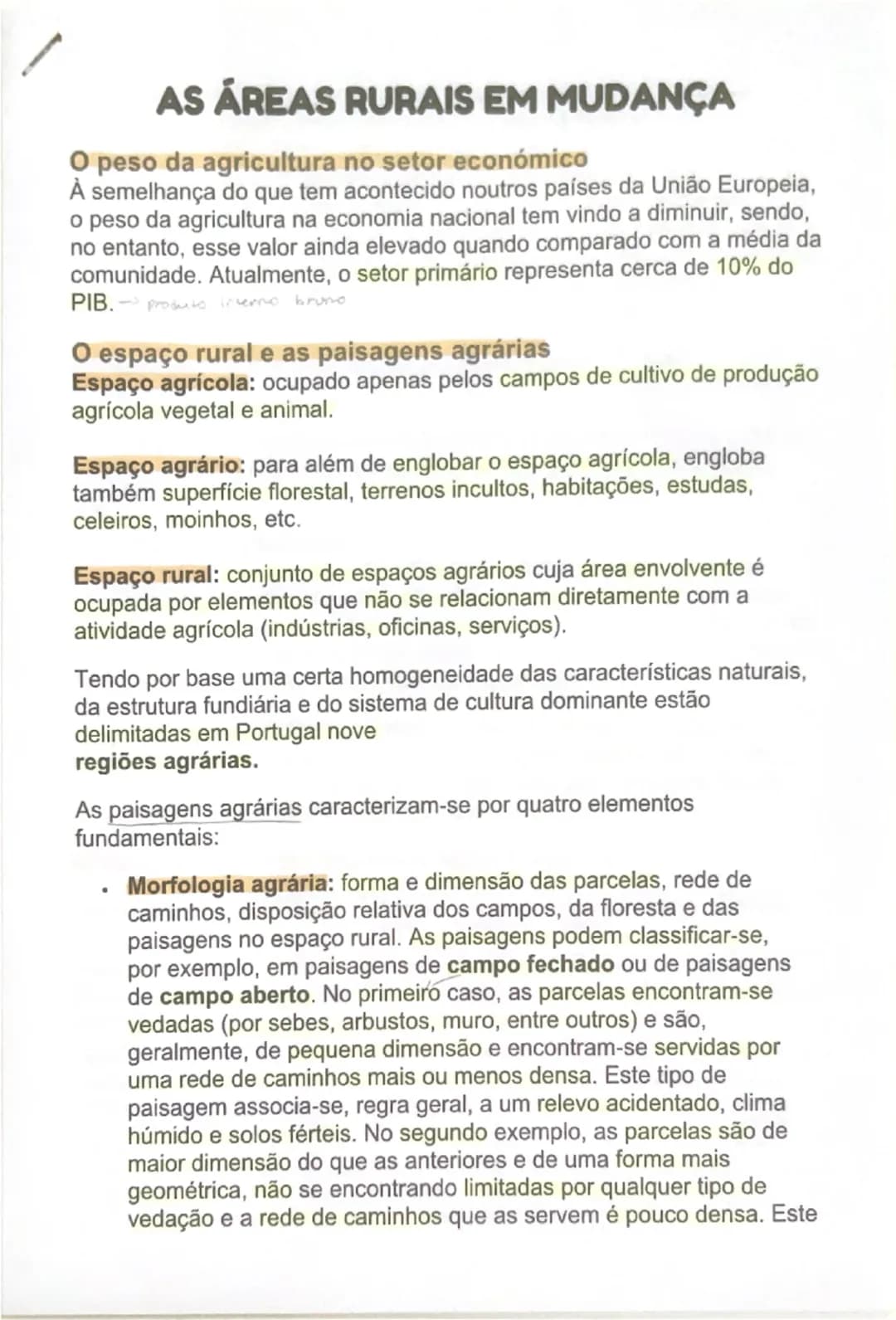 # AS ÁREAS RURAIS EM MUDANÇA
O peso da agricultura no setor económico
À semelhança do que tem acontecido noutros países da União Europeia,