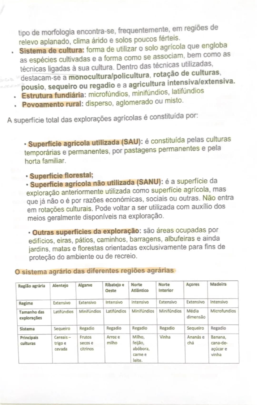 # AS ÁREAS RURAIS EM MUDANÇA
O peso da agricultura no setor económico
À semelhança do que tem acontecido noutros países da União Europeia,