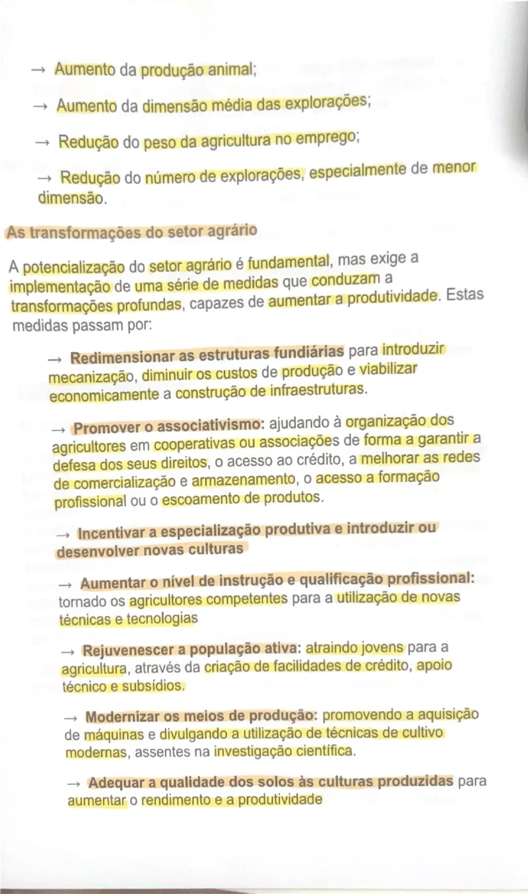 # AS ÁREAS RURAIS EM MUDANÇA
O peso da agricultura no setor económico
À semelhança do que tem acontecido noutros países da União Europeia,