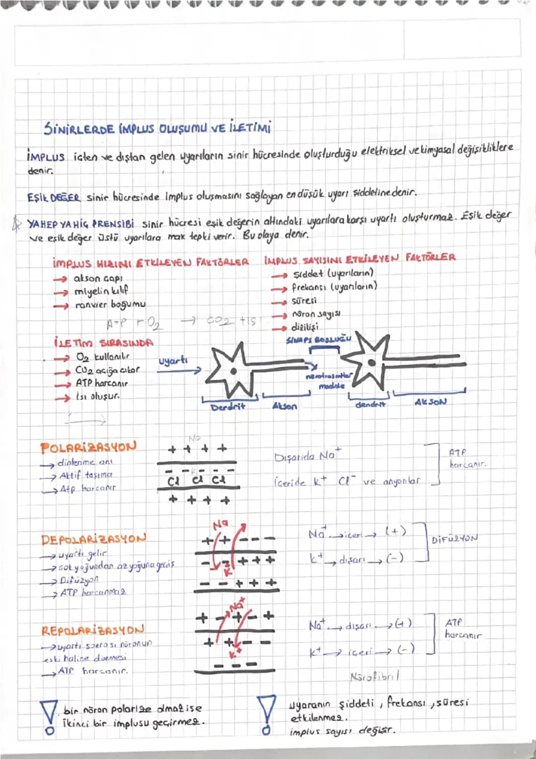 # SINIR SİSTEMİ
DOKU YAPI VE GÖREV BAKIMINDAN AYNI OLAN HÜCRELERİN BİR ARAYA GELEREK OLUŞTURDUĞU TOPLULUĞA DENIR.
DOKULARI İNCELEYEN BILIM