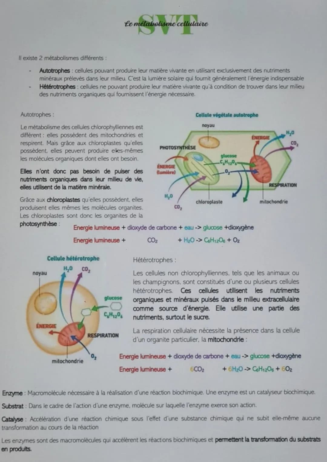 # Le métabolisme cellulaire
Il existe 2 métabolismes différents:
- Autotrophes: cellules pouvant produire leur matière vivante en utilisant