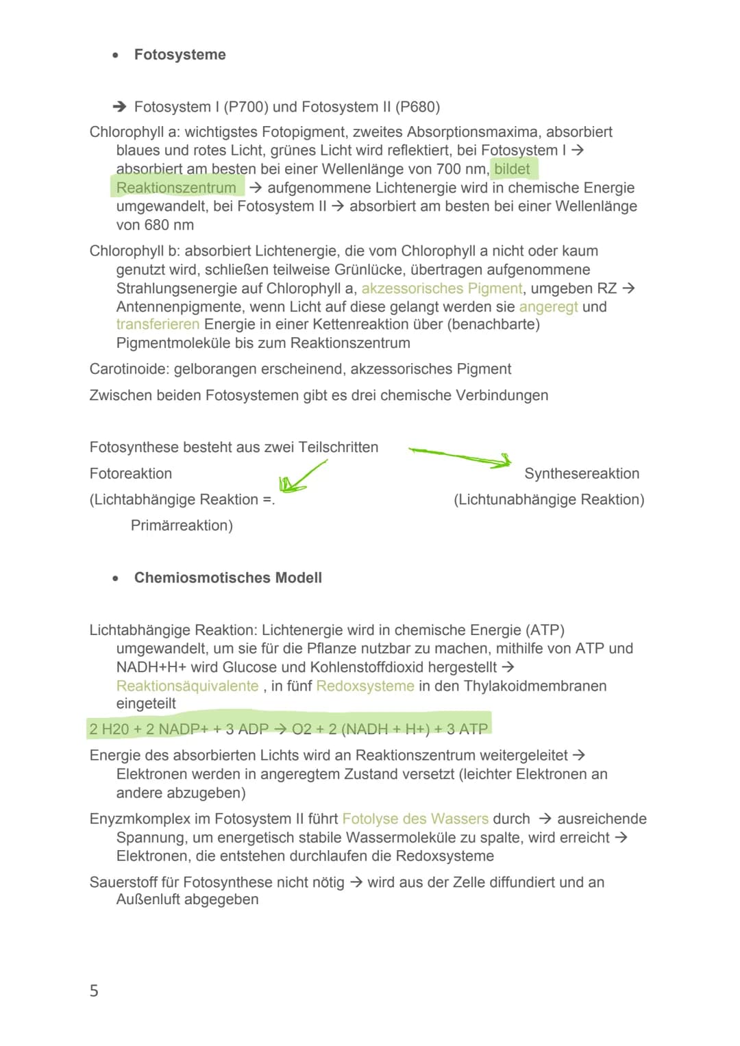 Von Alicia-Loreen Bitter
# Biologie Lernzettel
# Fotosynthese
- Ist der zentrale Stoffwechselvorgang der Erde, Voraussetzung für erdliche