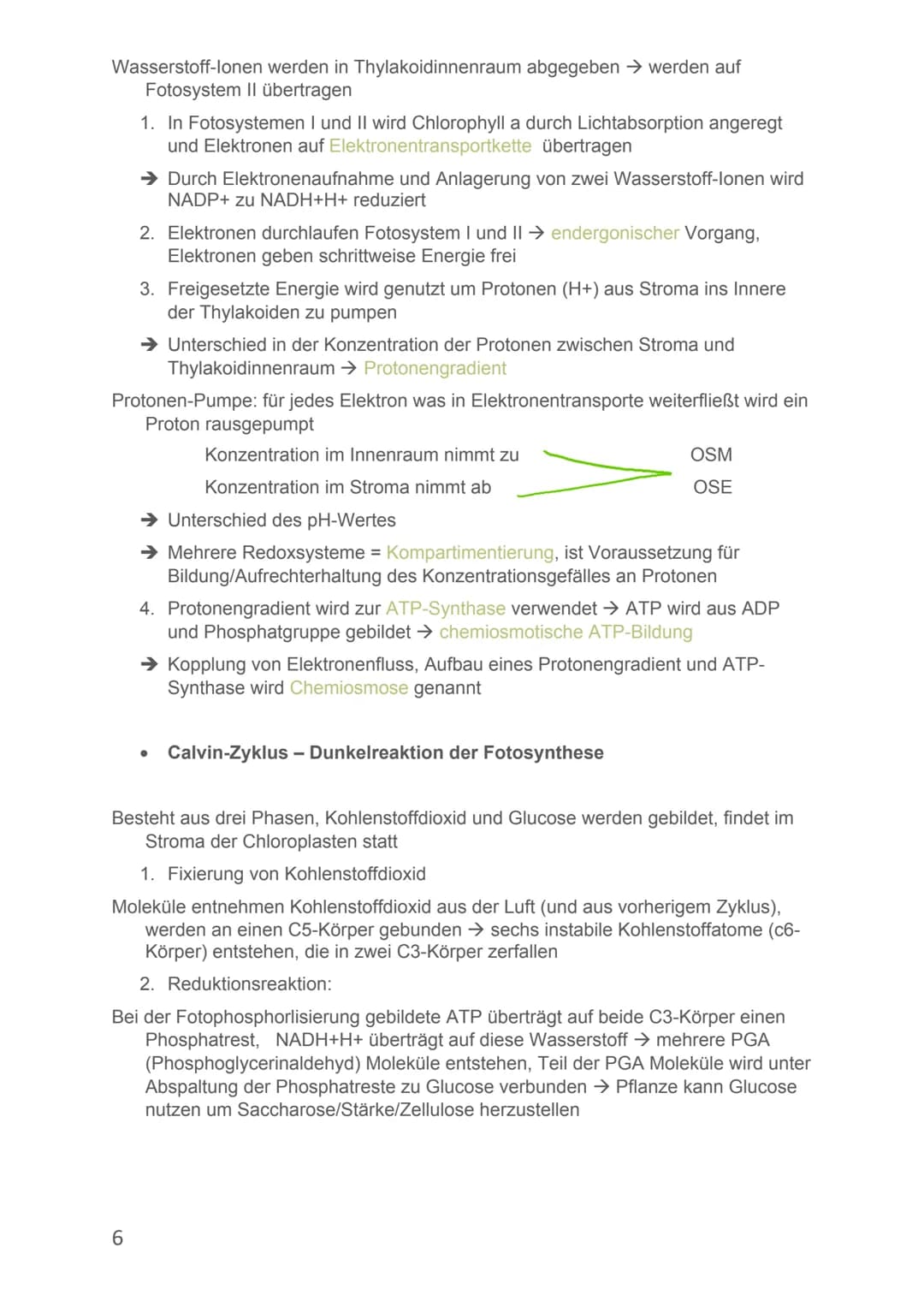 Von Alicia-Loreen Bitter
# Biologie Lernzettel
# Fotosynthese
- Ist der zentrale Stoffwechselvorgang der Erde, Voraussetzung für erdliche