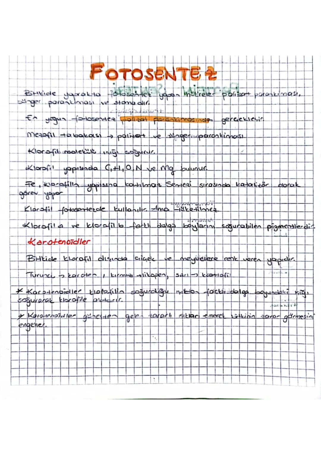 # FOTOSENTEZ
Binkide yarakia Tolosantes: yooon inertireler 'polisant pararkinası,
ger parankiması ve stana dir.
En yogun fotosentez baliza