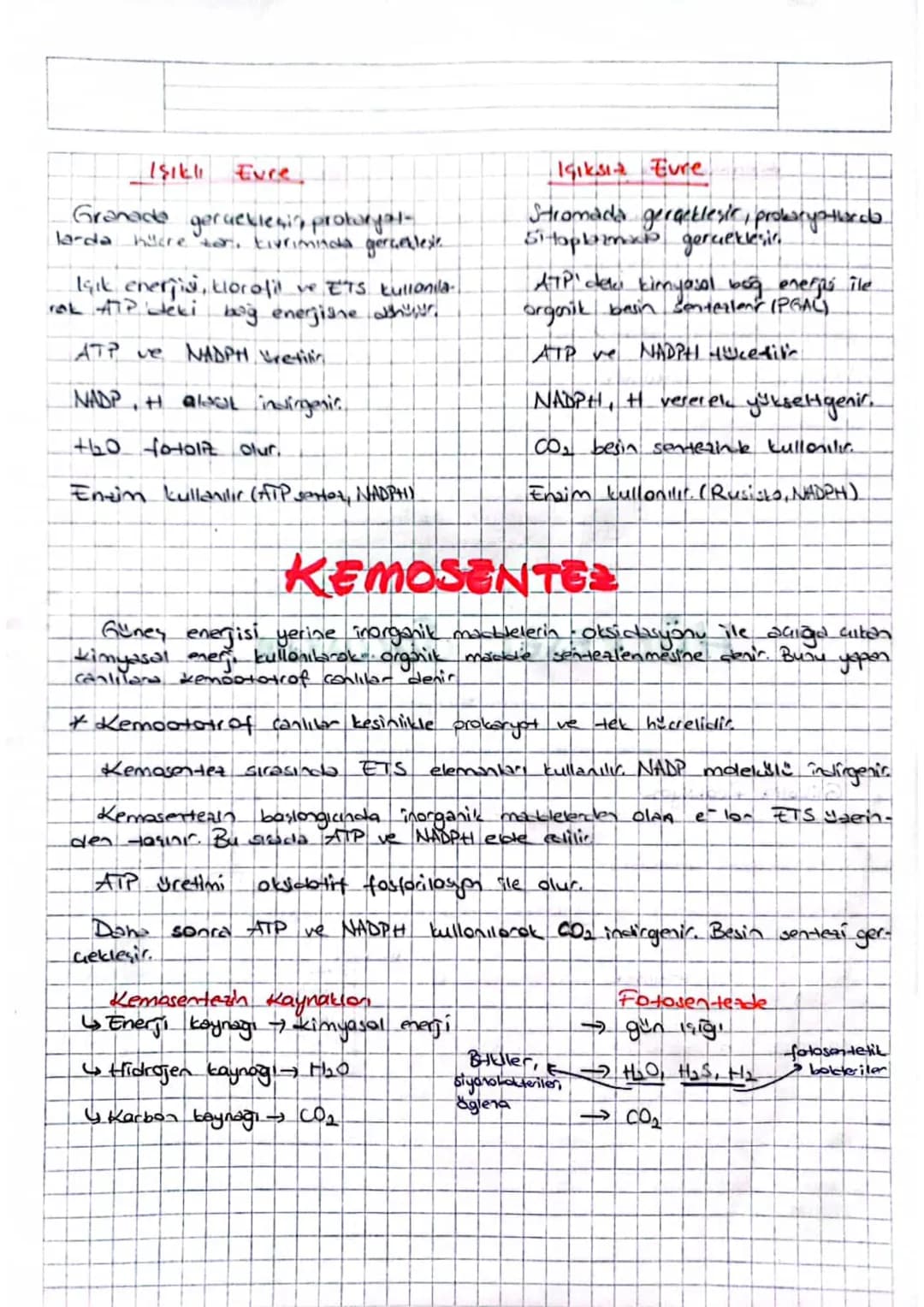 # FOTOSENTEZ
Binkide yarakia Tolosantes: yooon inertireler 'polisant pararkinası,
ger parankiması ve stana dir.
En yogun fotosentez baliza