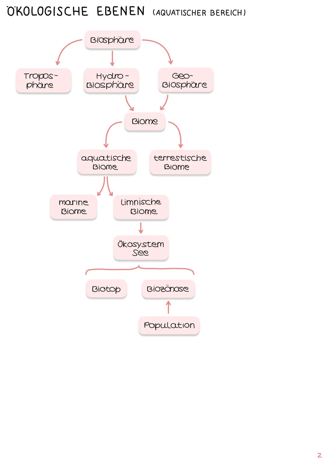 Biologie
# Klausur Ökologie
1. Grundbegriffe der Ökologie
- → Glossar S.1
- → ökologische Ebenen IS.2
# ÖKOSYSTEM SEE
2. biotische &