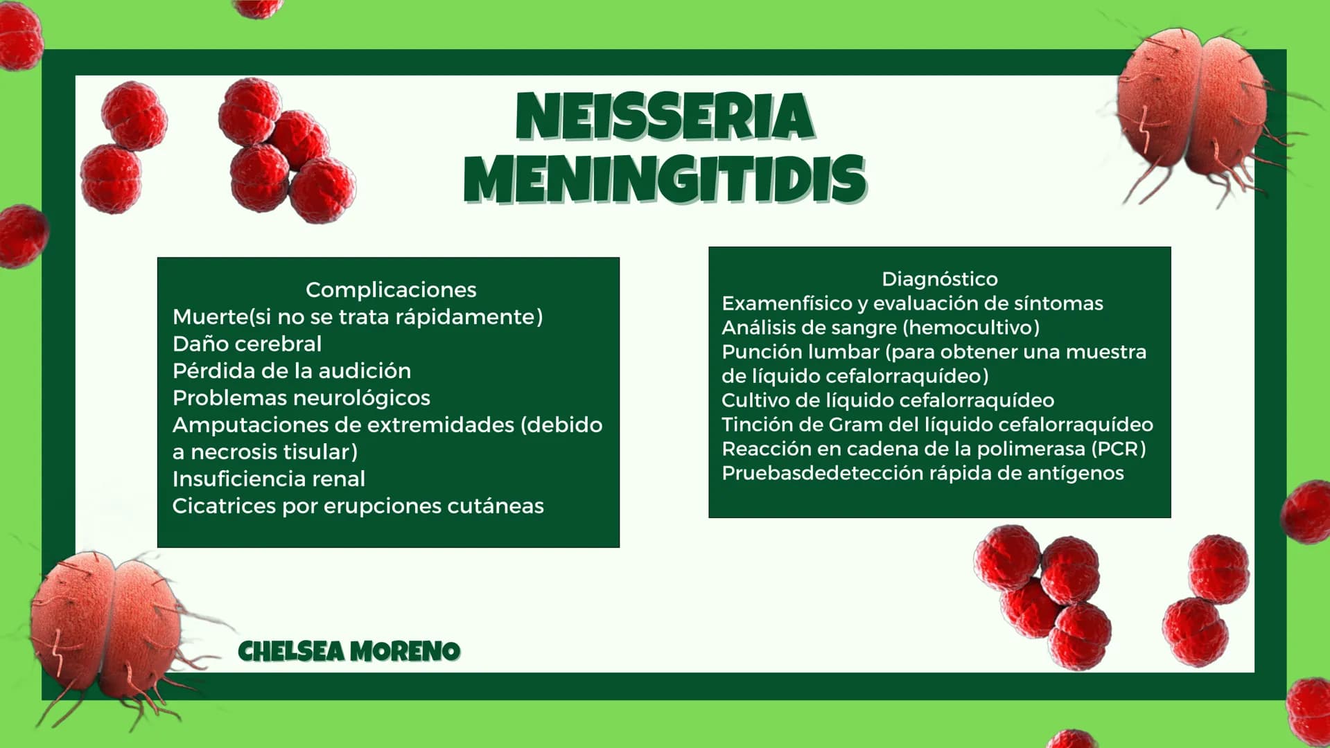 # MYCOBACTERIUM
# TUBERCULOSIS
Complicaciones:
- Colapso pulmonar (neumotórax)
- Hemoptisis (sangrado en los pulmones)
- Insuficiencia resp