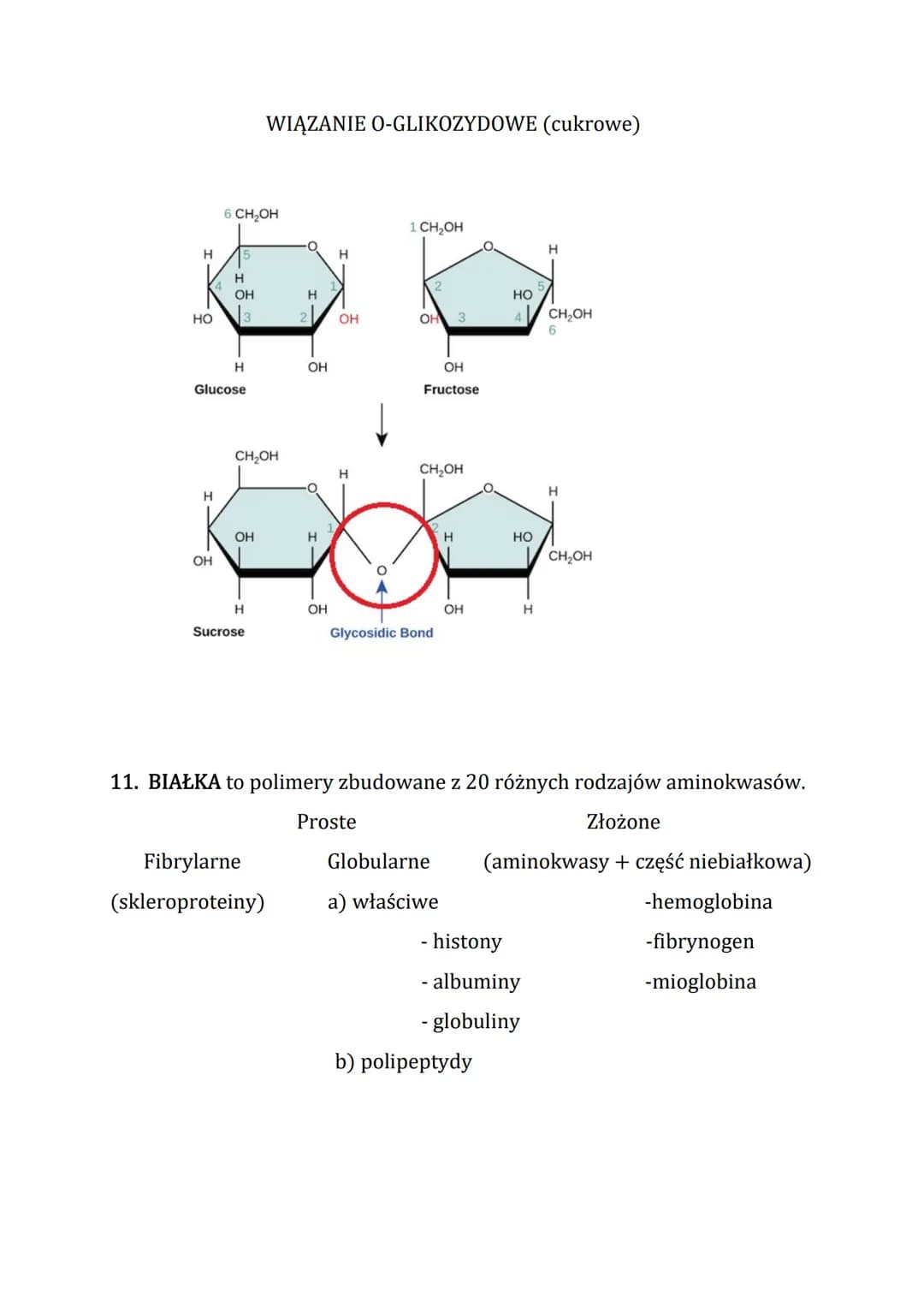 # CHEMICZNE PODSTAWY ŻYCIA
1. PIERWIASTKI CHEMICZNE to podstawowe składniki chemiczne
każdego organizmu
PIERWIASTKI CHEMICZNE
ZWIĄZKI CHE