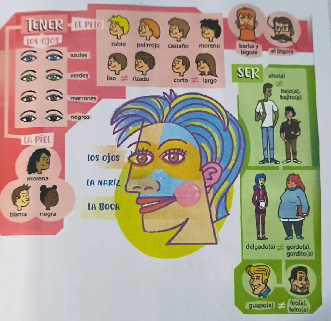 # TENER EL PELO
Los ojos
rublo pelirrojo castaño moreno
barba y
bigote
el bigote
azules
verdes
SER
liso rizado corto largo
alto(a)
≠