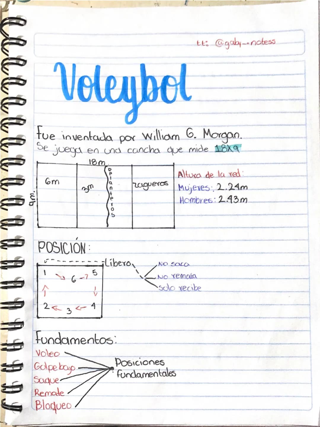 am.
# Voleybol
tt: @gaby-notess
fue inventada por William 6. Morgan.
Se juega en una cancha que mide 18x9
| | | 18m |