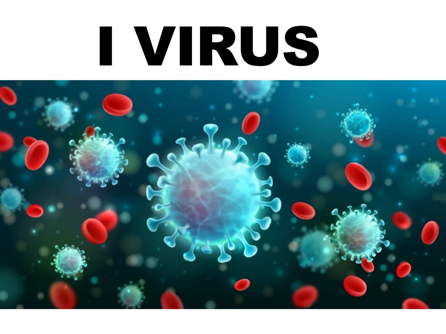 # I VIRUS atomo
amminoacido
proteina
virus
cellule animali
e vegetali
cloroplasto
batterio
cellula
uovo
uovo
di rana
umana
0,1 nm
1 nm 10 nm