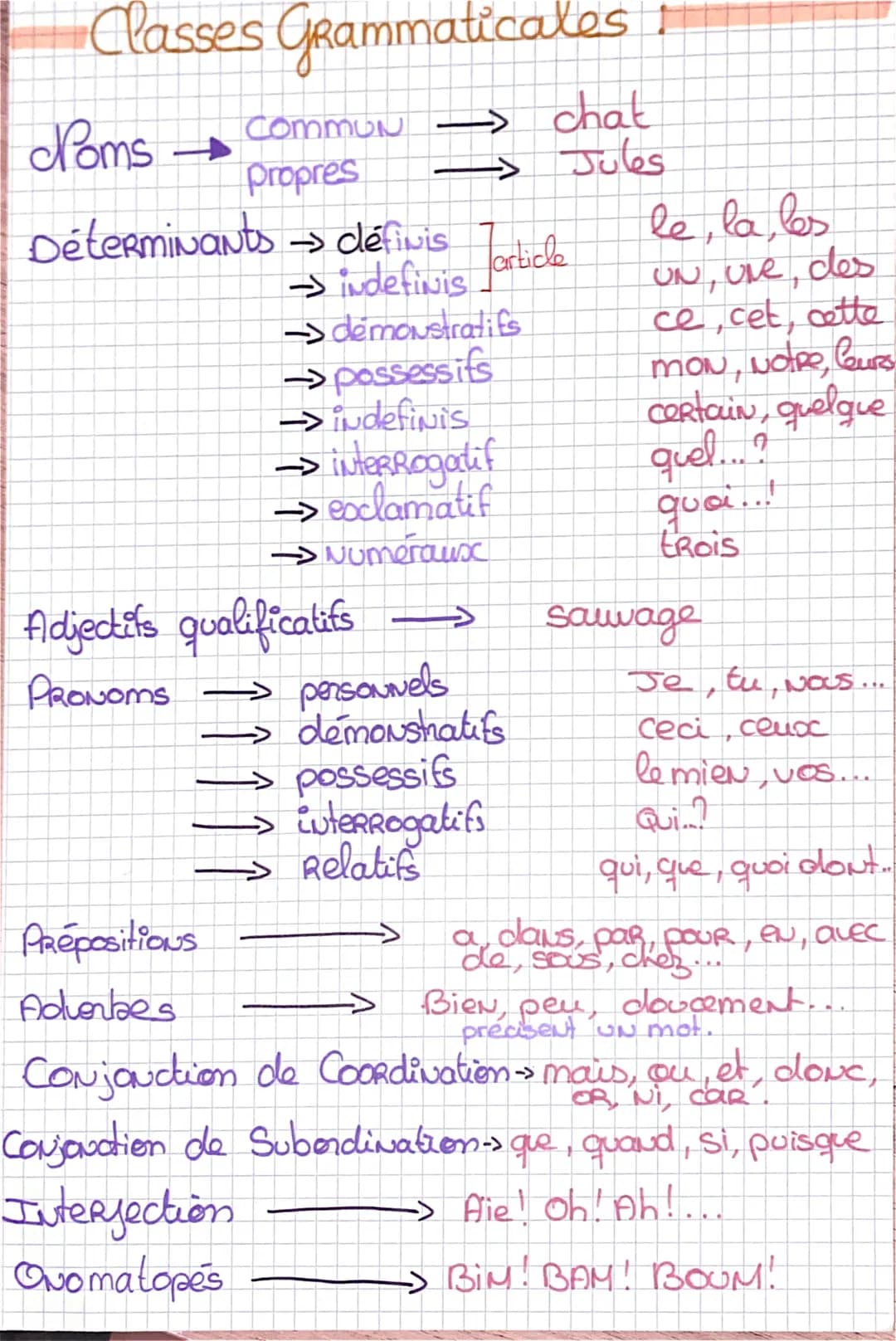 # Classes Grammaticales !
Noms → COMMUN → chat
propres → Jules
Déterminants → définis
→ indefinis
→ démonstratifs
→ possessifs
→ indefi