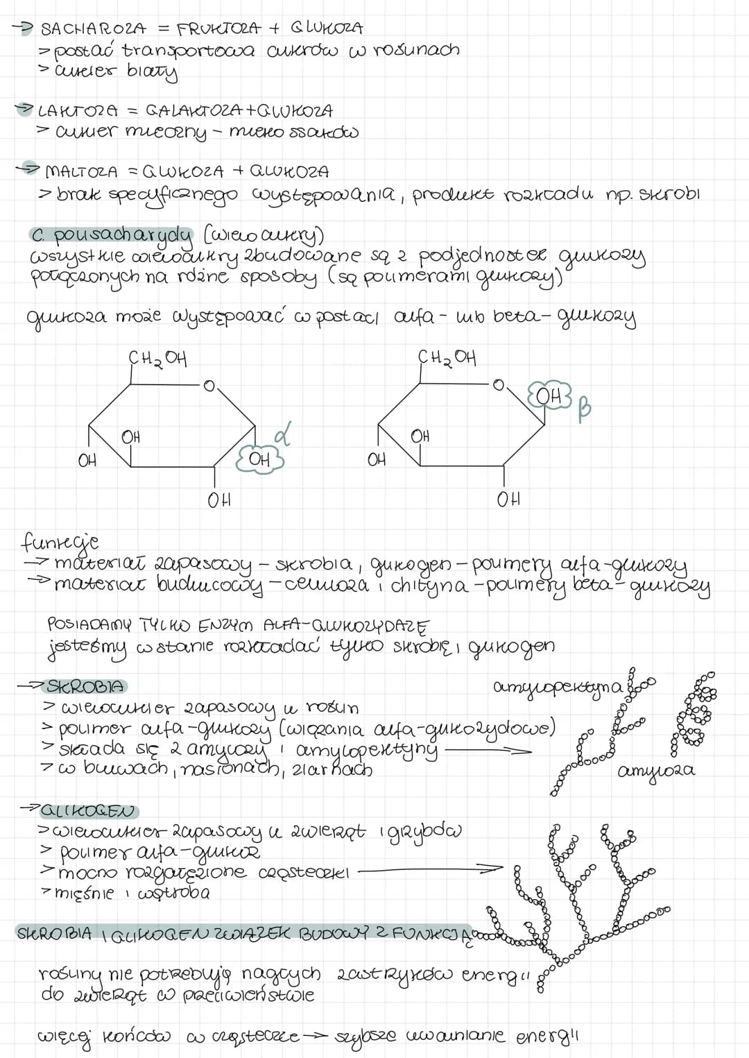 # WĘGLOWODANY (->sacharyly, upidy, blatka, kwasy nukiemowe)
1. budowa węglowodandw
tańcuch wegway + grupa OH + grupa aldehydowa mb ketonow