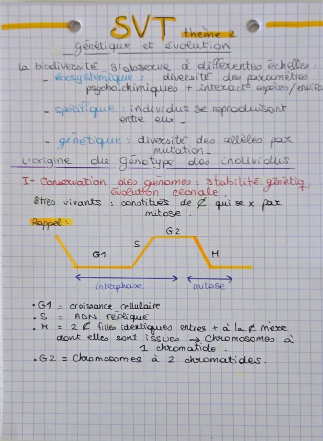 --- OCR Start ---
SVT theme 2
génétique et évolution
la biodiversité siobserve à differentes échelles.
ecosystemi qabse diversité des paramè