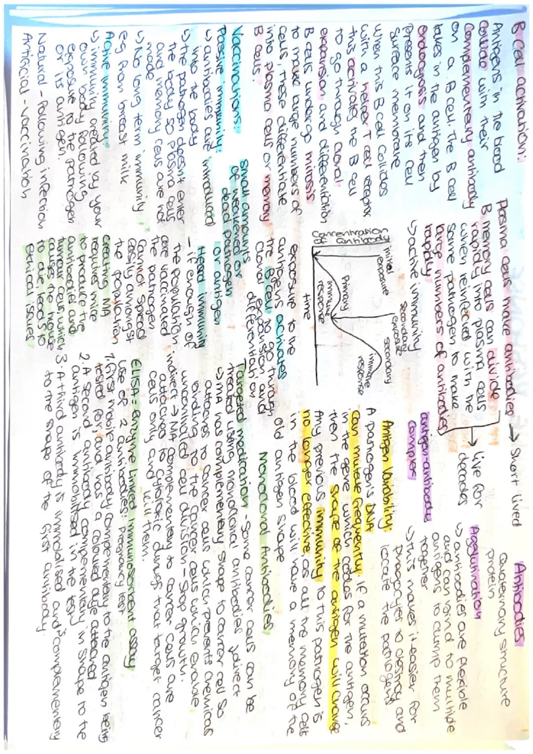 Phagocytosis:
-A phagocyle is a macrophage
Ctype of white blood cell)"
found in blood and tissues
non-specific response. Any non-self
cel th