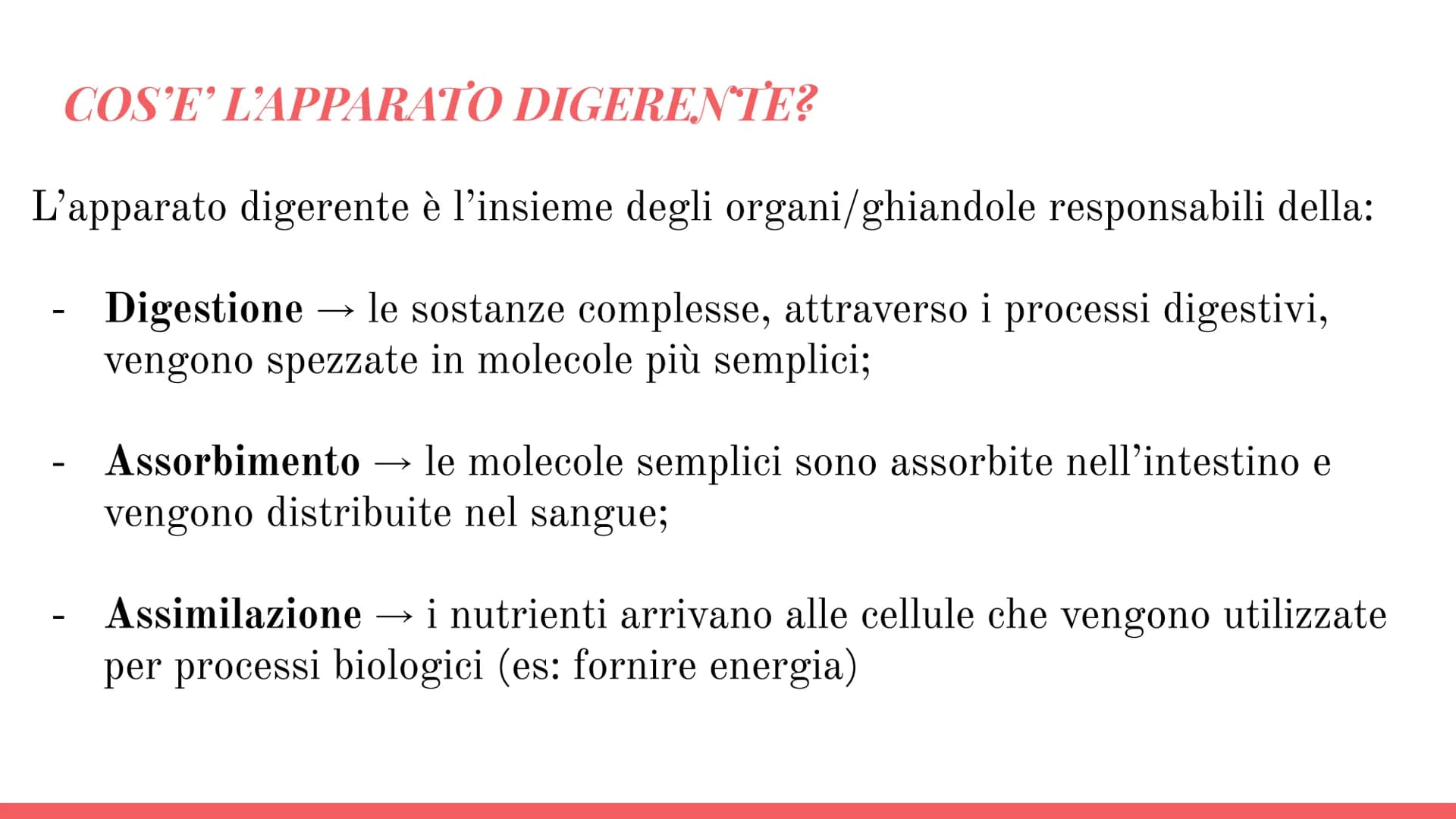 Esófago
Fegato
Colecisti
Duodeno
Stomaco
Intestino crasso
Intestino
terme
L'APPARATO
DIGERENTE # COS'E' L'APPARATO DIGERENTE?
L'appar