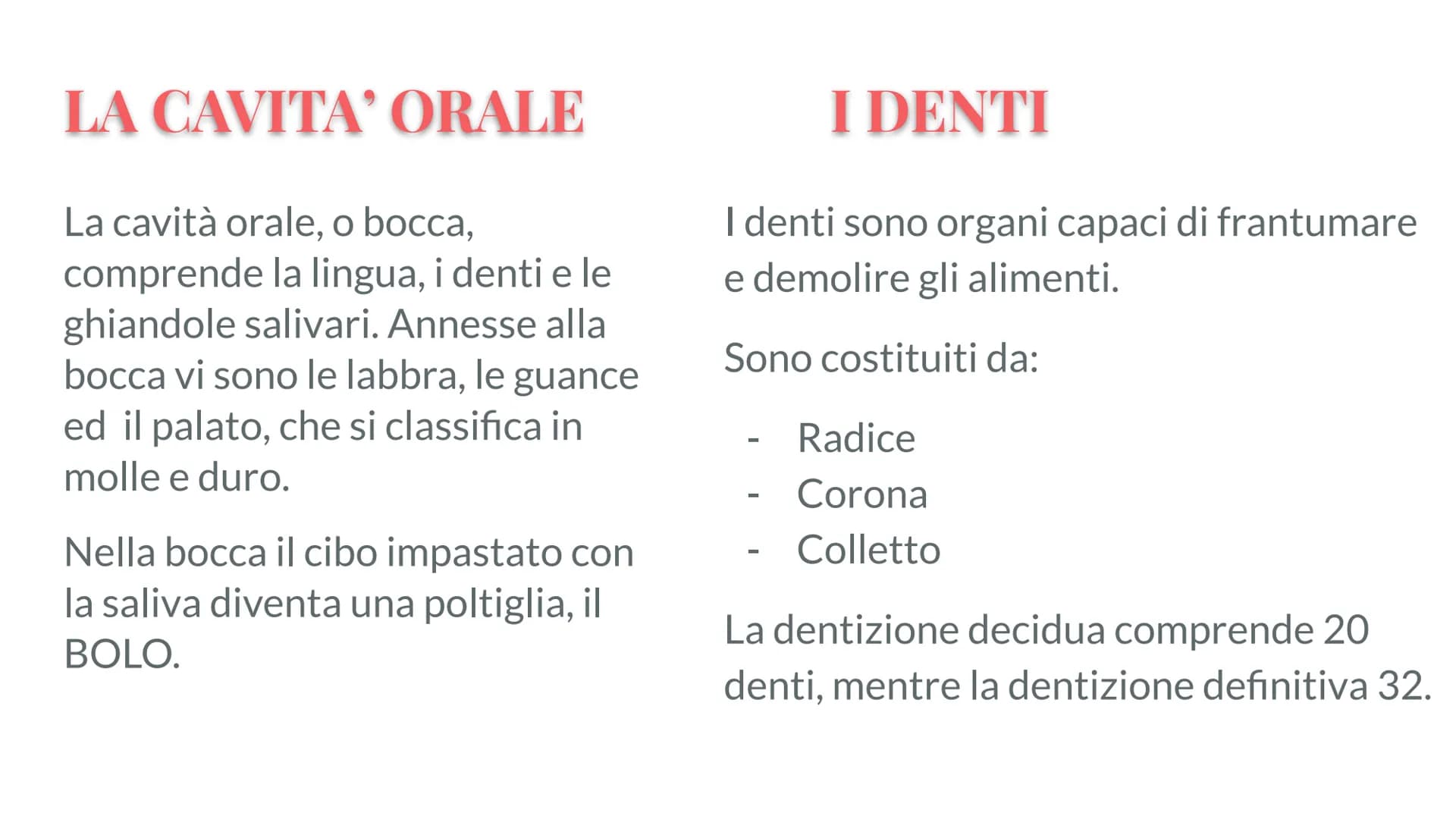Esófago
Fegato
Colecisti
Duodeno
Stomaco
Intestino crasso
Intestino
terme
L'APPARATO
DIGERENTE # COS'E' L'APPARATO DIGERENTE?
L'appar