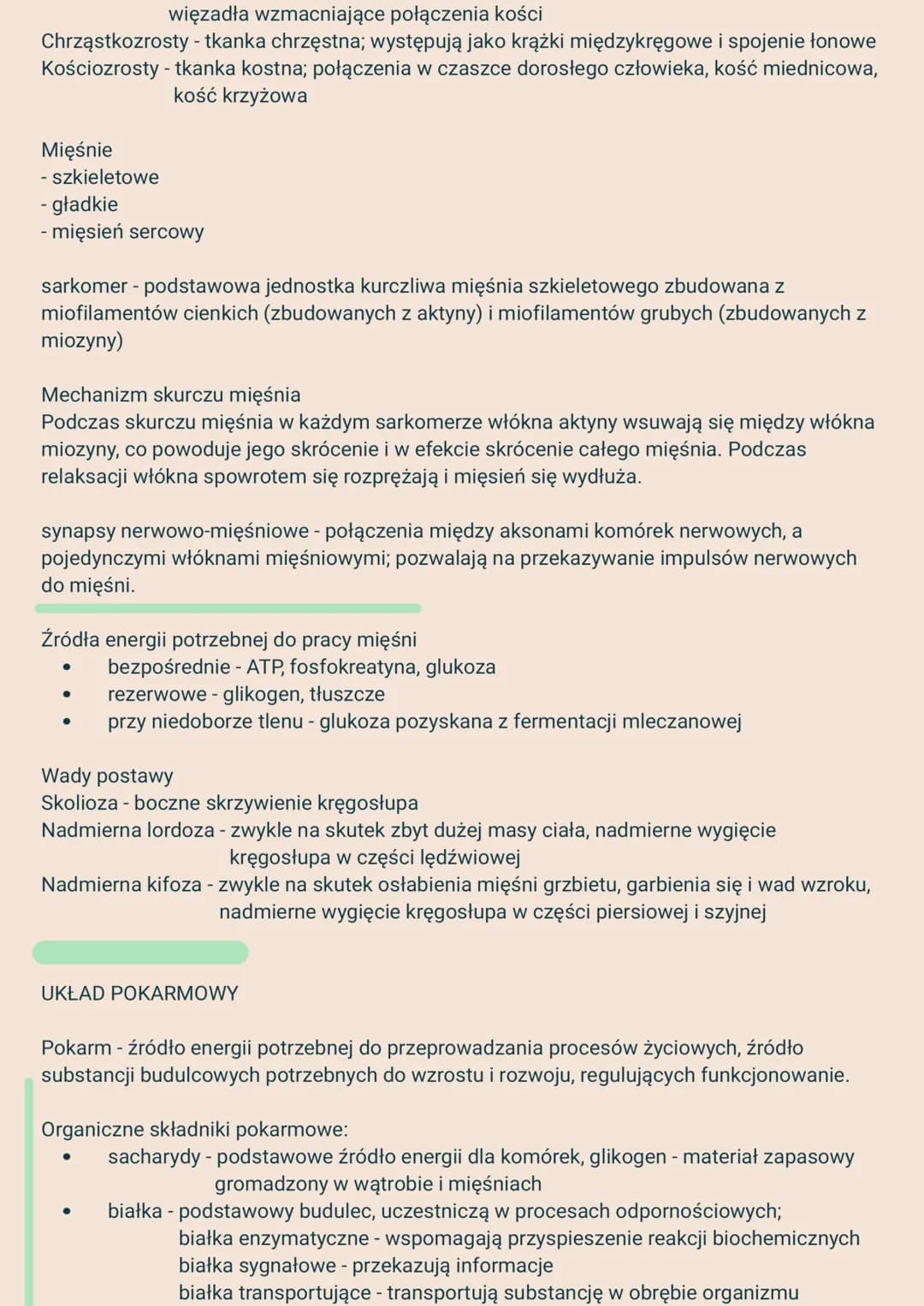 # ΑΝΑΤΟΜΙΑ I FIZJOLOGIA CZŁOWIEKA
-powtórzenie do maturki 2023/24-
Cechy charakterystyczne dla człowieka:
* pionowa postawa ciała
* wys
