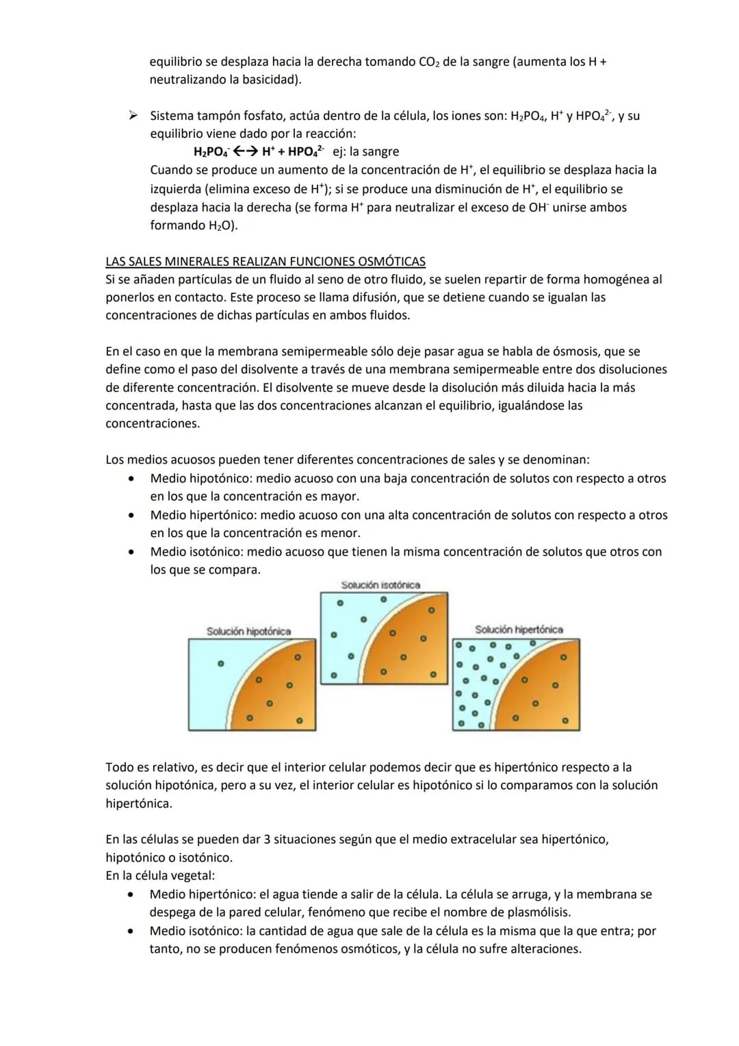 TEMA 1. BIOELEMENTOS Y BIOMOLÉCULAS INORGÁNICAS
Los bioelementos son aquellos elementos químicos que forman parte de los seres vivos. Son un