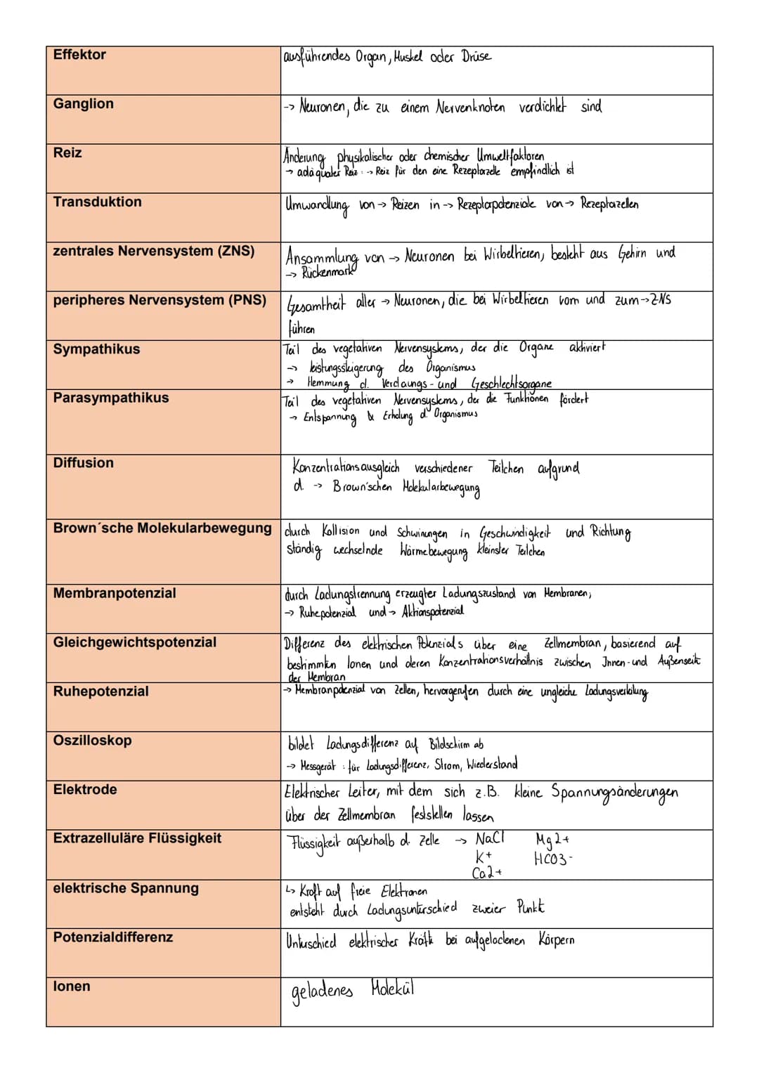 Neuronen und Bioelektrizität
Neuron
Dendrit
Soma
Axonhügel
Axon / Neurit
Mikrotubuli
Schwann'sche Zelle
Myelinscheide / Markscheide
Ranvier