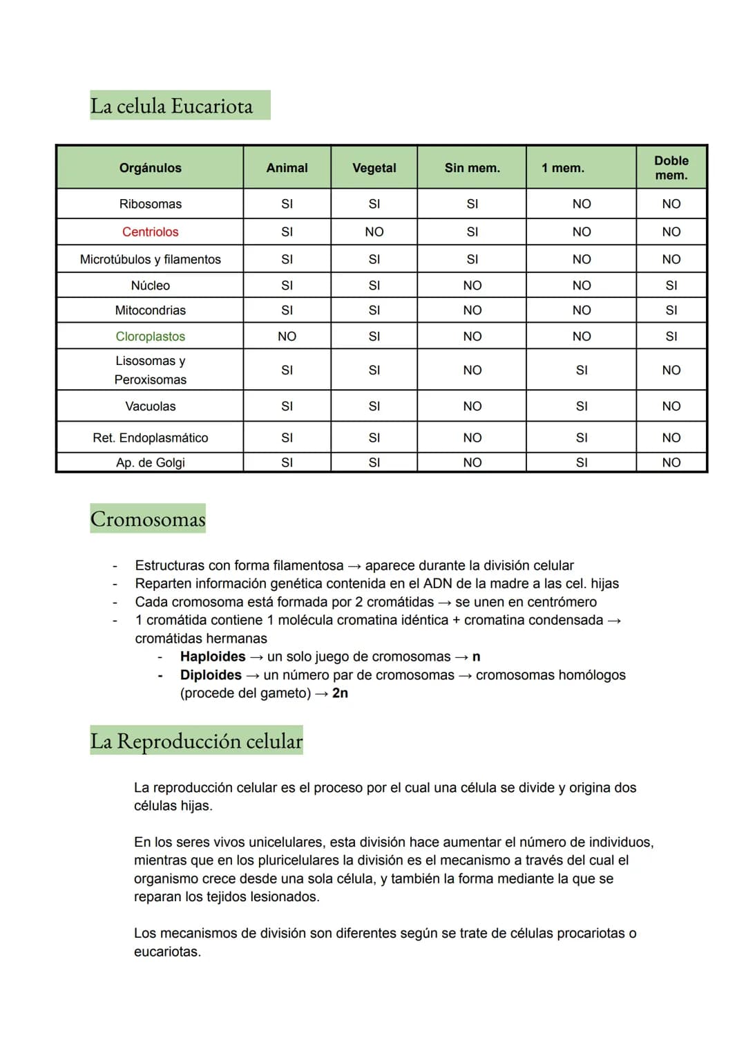 <h2>Teoría Celular: Resumen</h2>
<p>La teoría celular es una parte fundamental de la biología que establece que la célula es la unidad básic