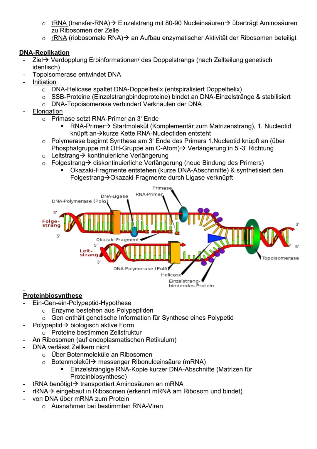 # Genetik
Cytogenetik (Teilgebeit mit Chromosomen & Vererbung auf zellulärer Ebene)
Chromosomen
- Im Zellkern des Menschen & tragen Gene