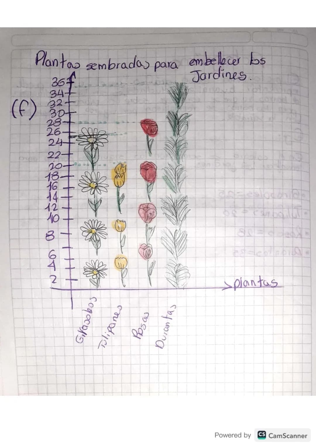 REPRESENTACIÓN
grafica
La informacion recoletada de
Yorganizada en la tabla
de frecuencias se puede repre-
sentar de manera gráfica, conel
O